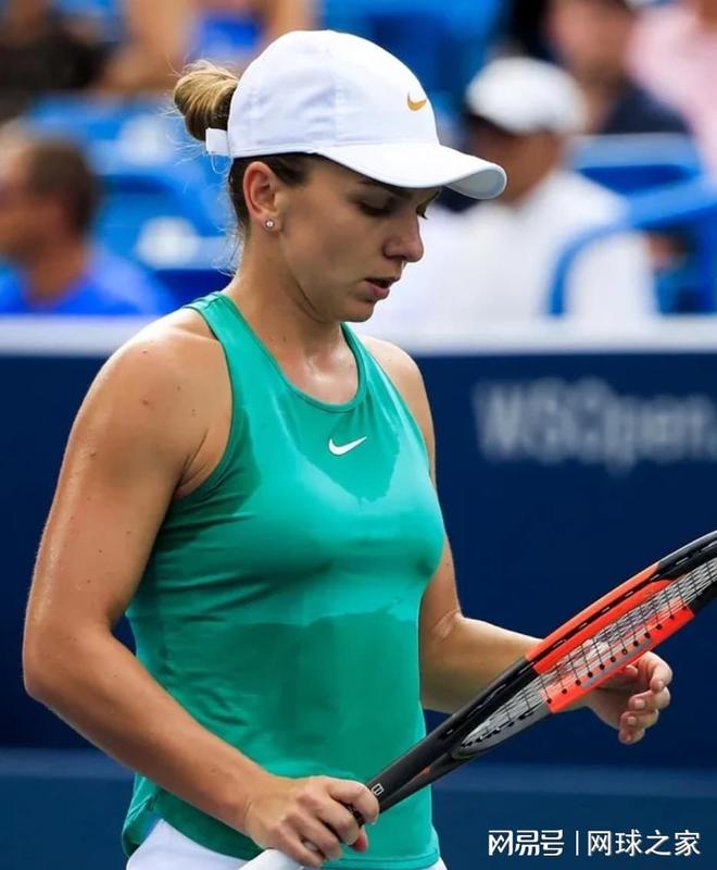 广州蒲公英 广州蒲公英