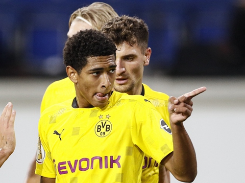 尝试引进一 尝试引进一